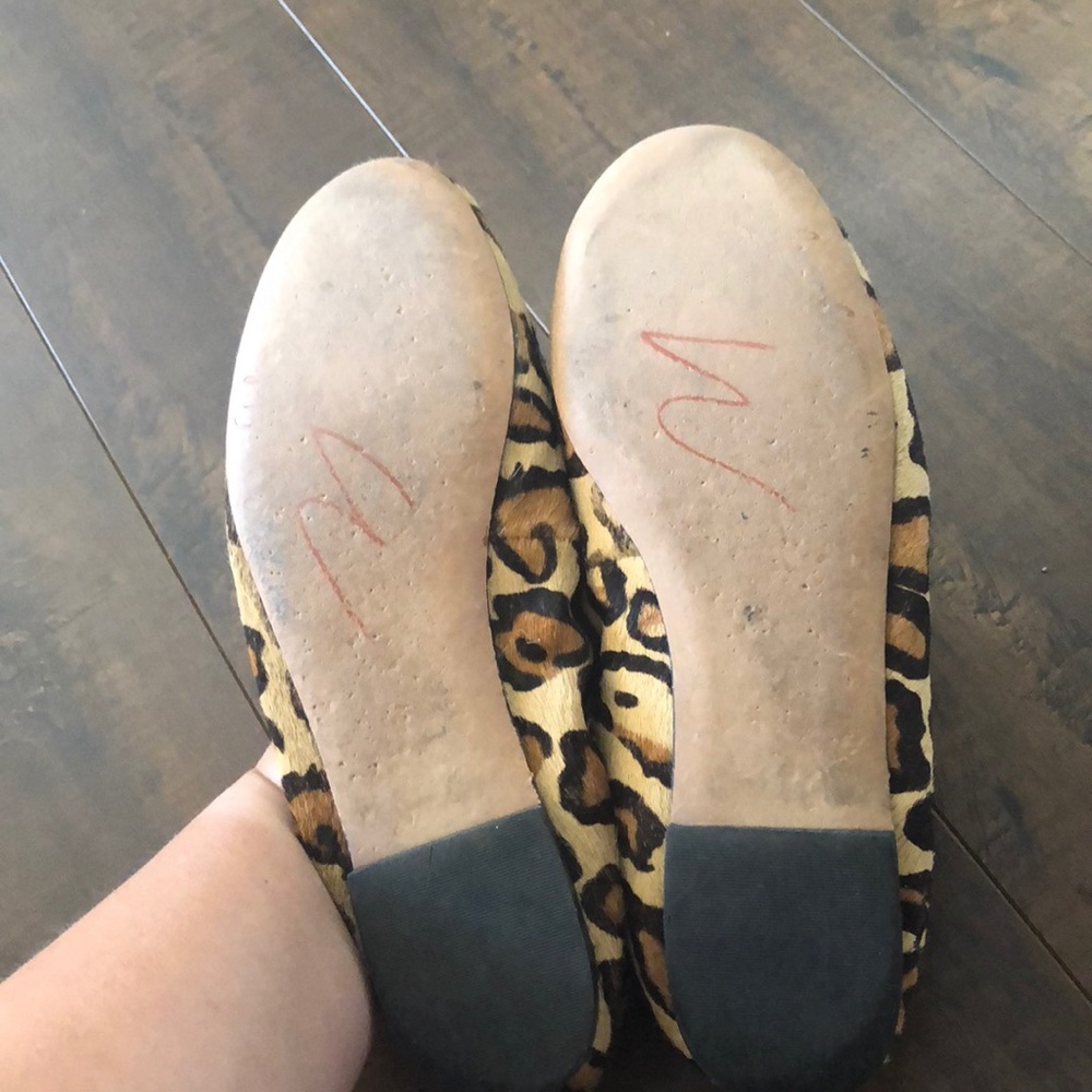 Sam Edelman Cheetah Ballet flats - Picture 8 of 8
